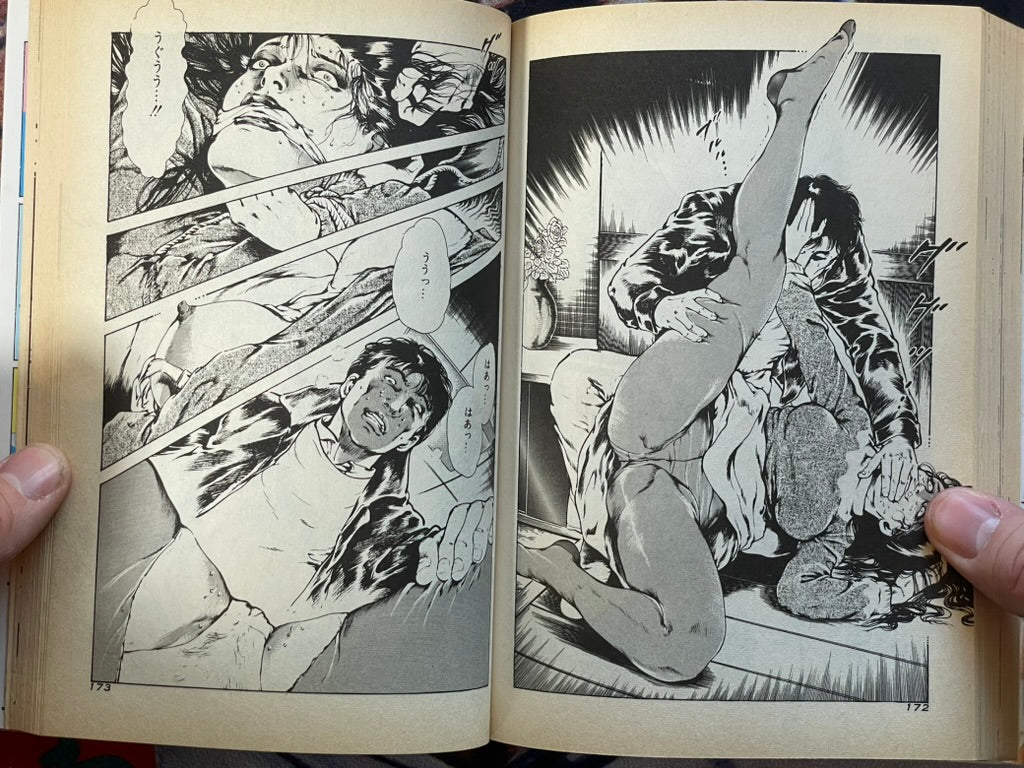 Affair Legend by Oshima Takeshi (1985)
