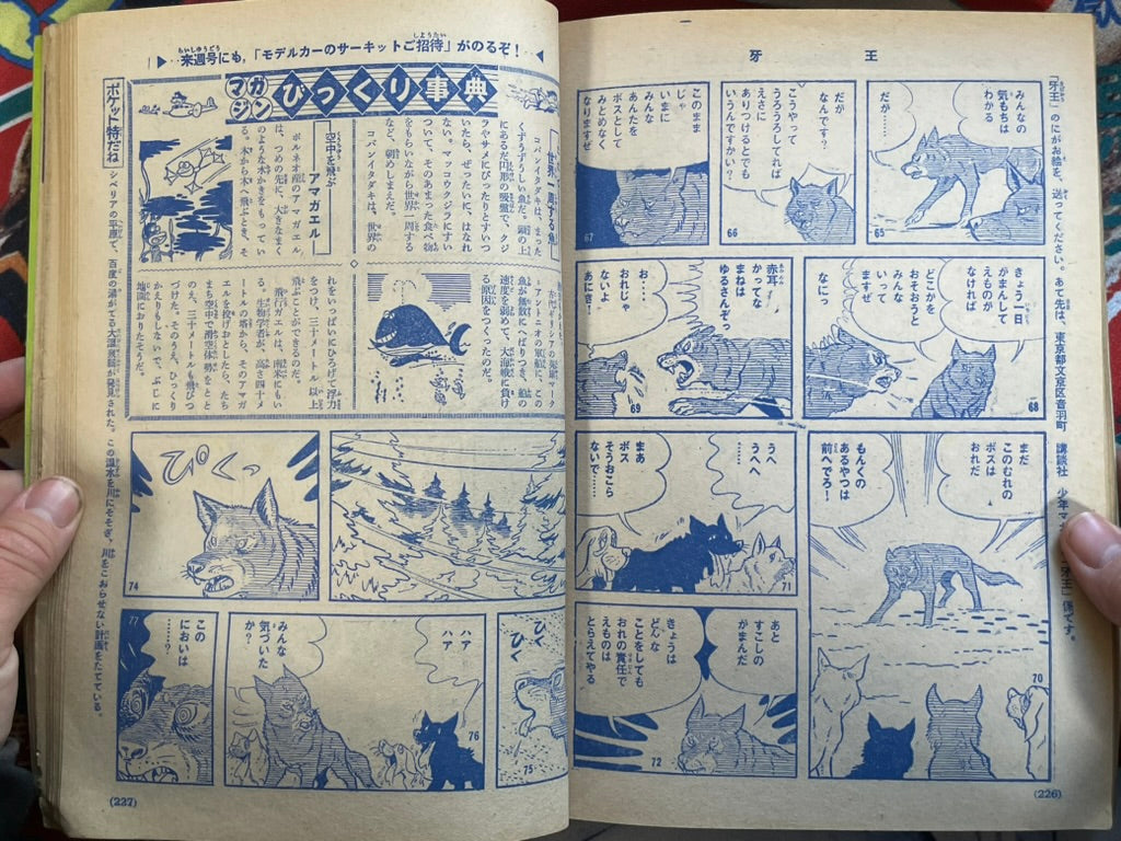 Weekly Shonen Magazine Vol. 34 (8/1965)