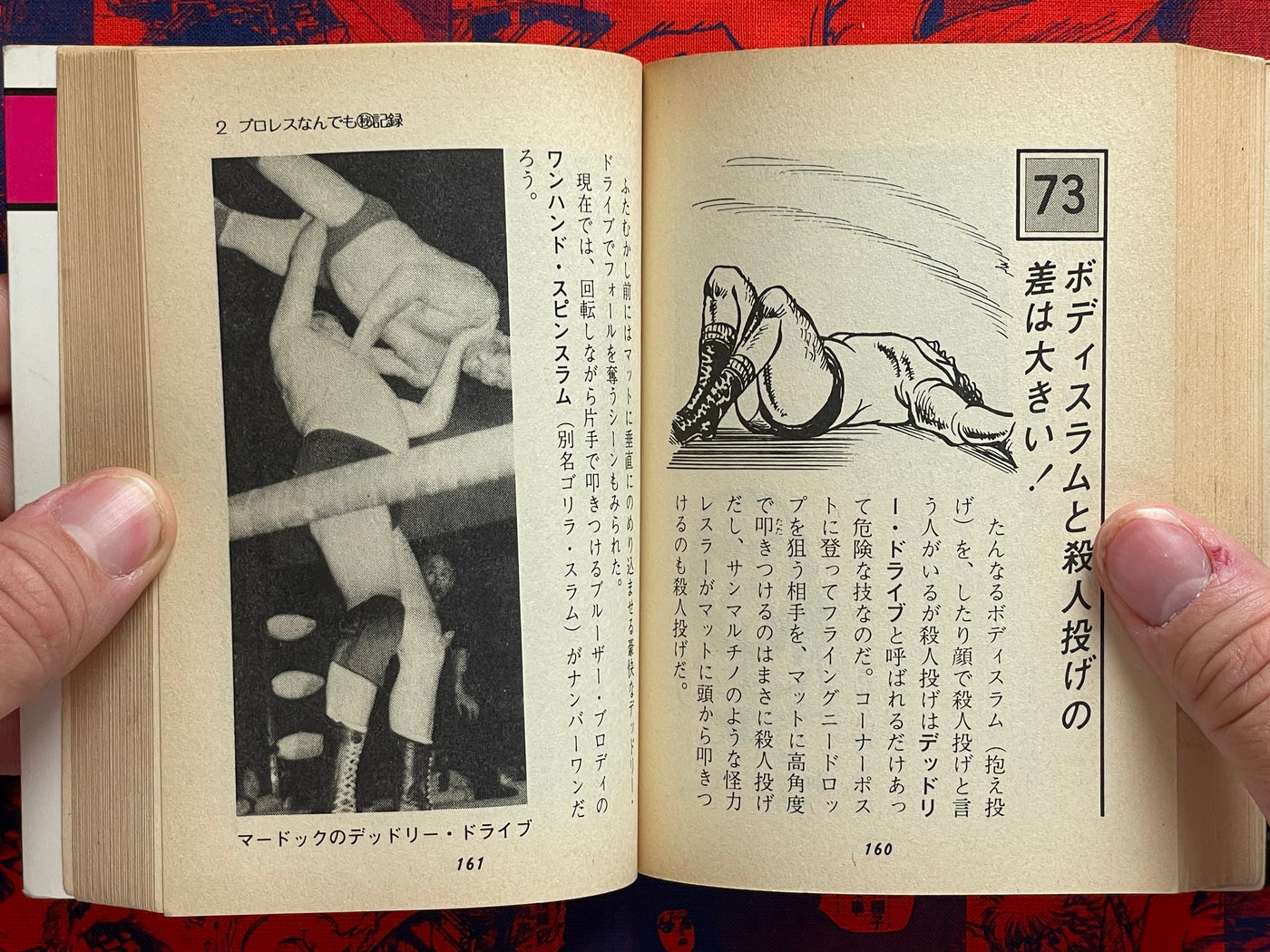 Pro Wrestling Everything Professor - bunko sized by Morioka Riu (1982)