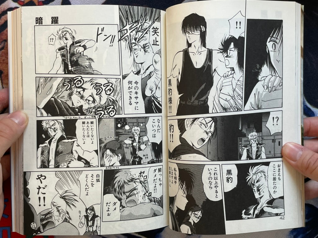 Rape + 2πr: Fierce Battle by Tennoji Kitsune (1993)