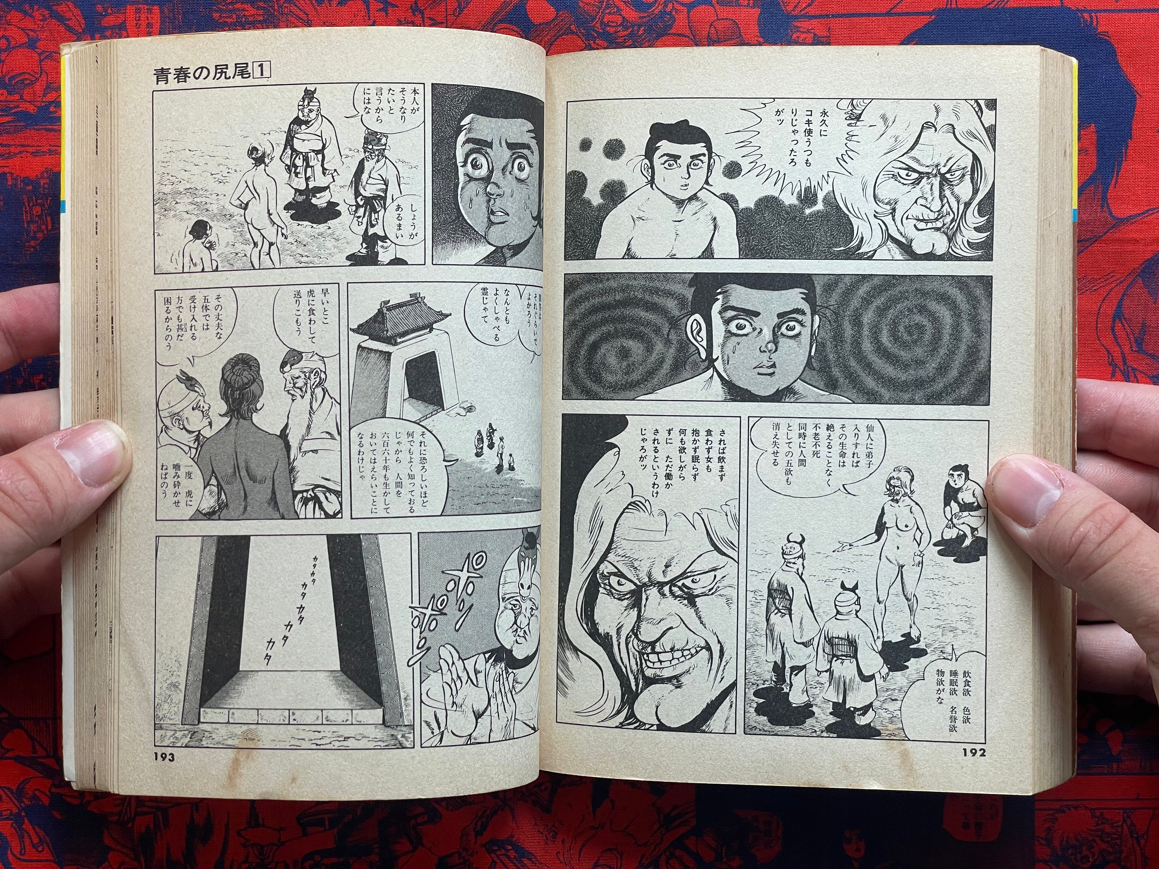 Tail of Youth 1-6 Full Set by Kazuo Koike (1978)-thumbmail-21