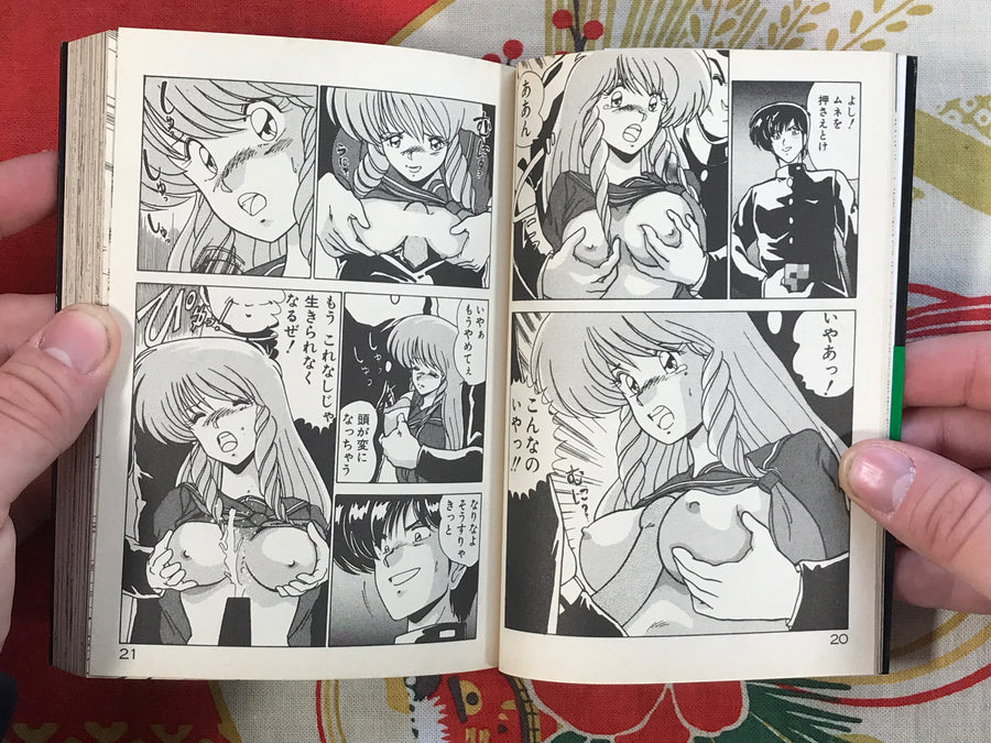 Wink at the Girl by Yoshimasa Watanabe (1989)