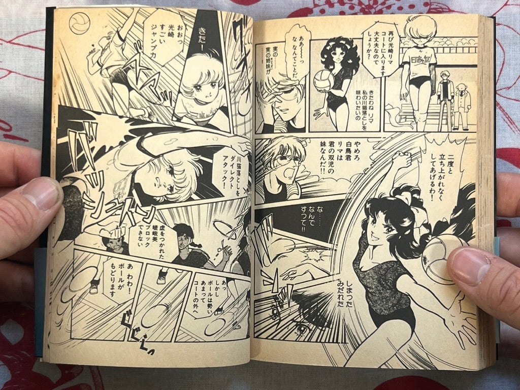 Not There Yet! - bunko size by Nakata Aki (1988)