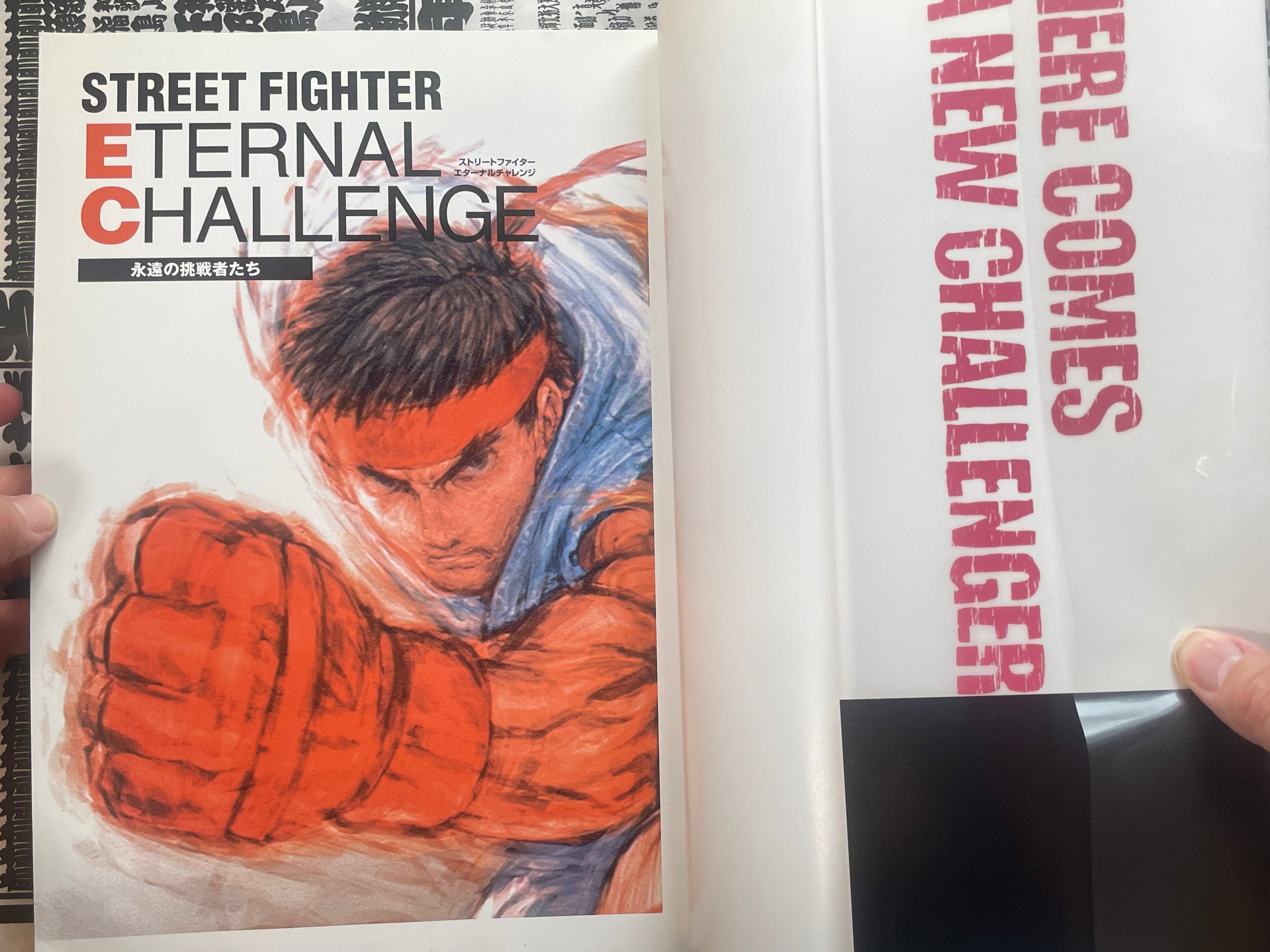 Street Fighter Eternal Challenge by Capcom (2003)-thumbmail-5