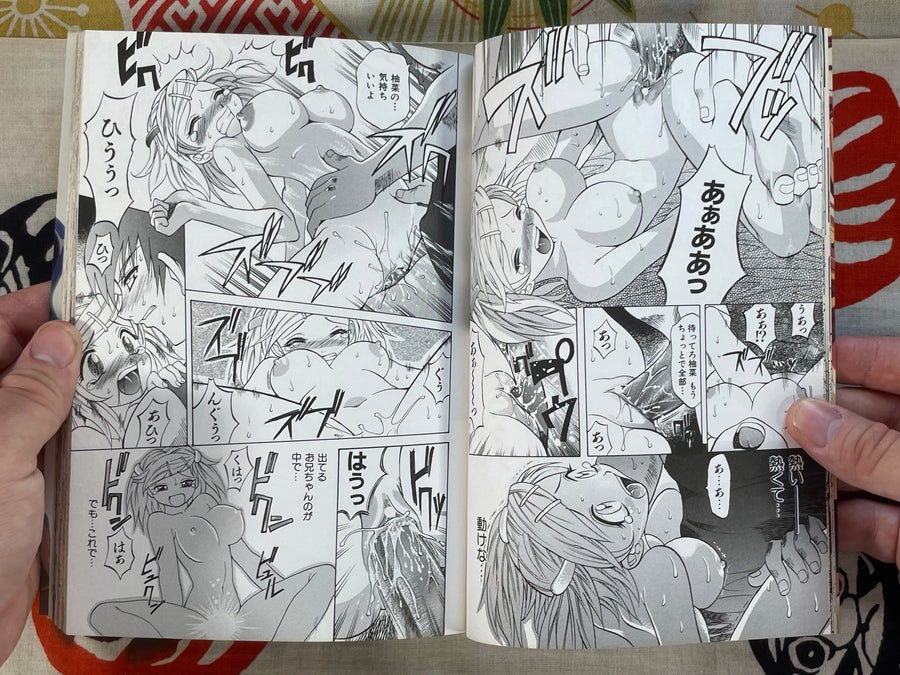 Beloved Girl by Motofumi Takaoka (2001)