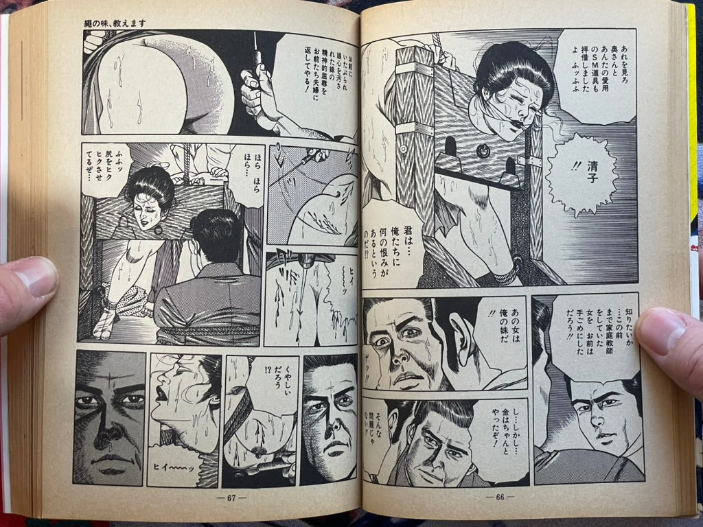 Moan at the Whip by Sugawara Takuya (1981)