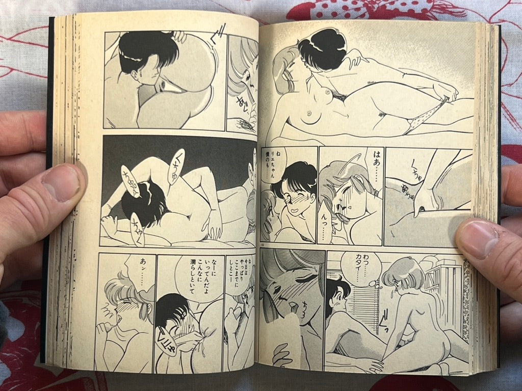 Tokimeki C Girl Bunko Edition by Arimura Shinobu (1991)