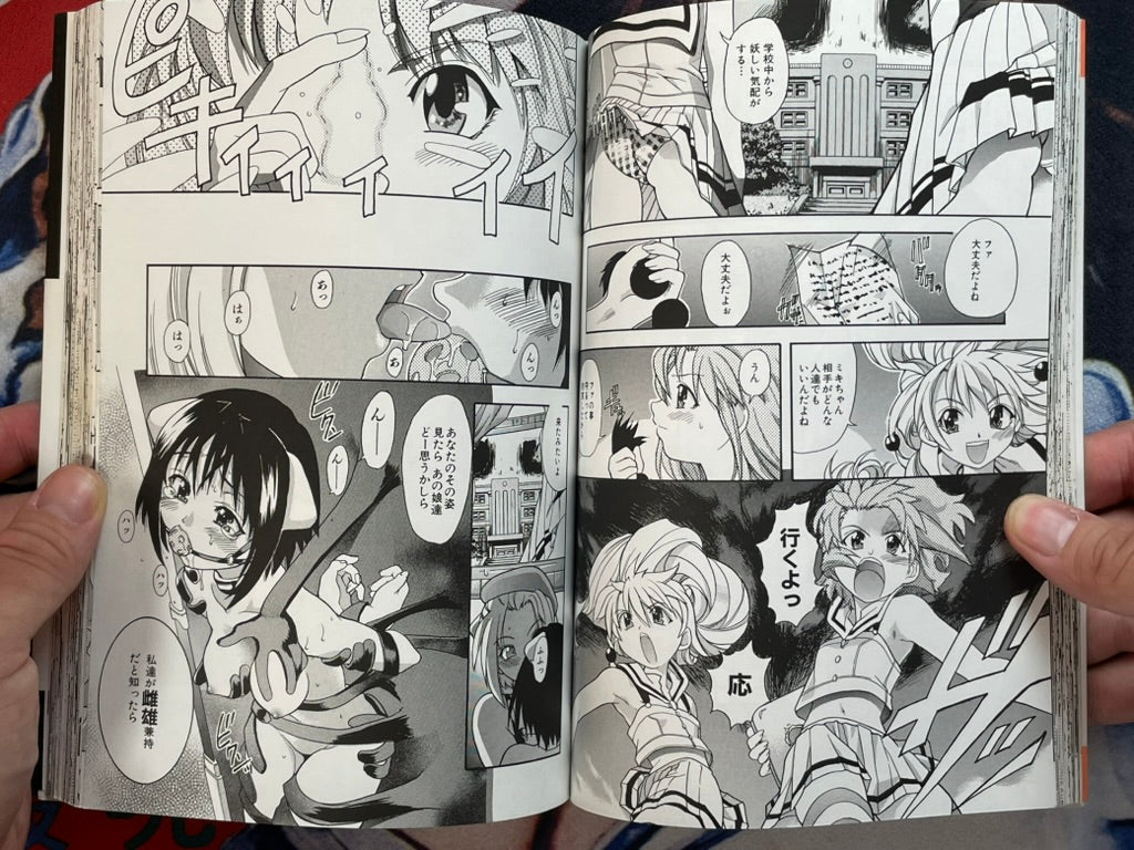 Daijobu by Shiwasu no Okina (1999)-thumbmail-10
