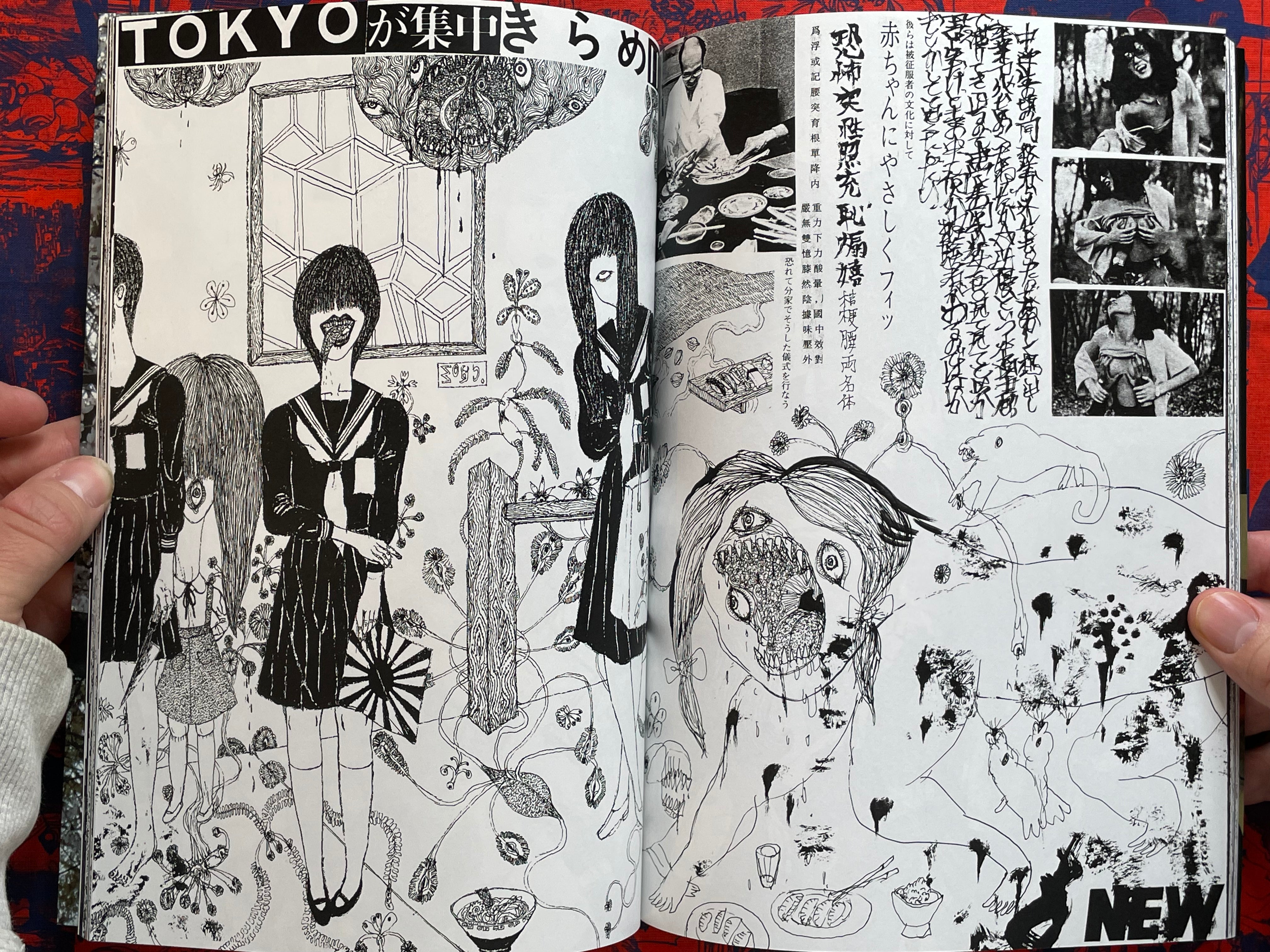 Shinzou Yaburi Heartbreak by Daisuke Ichiba (2000s?)