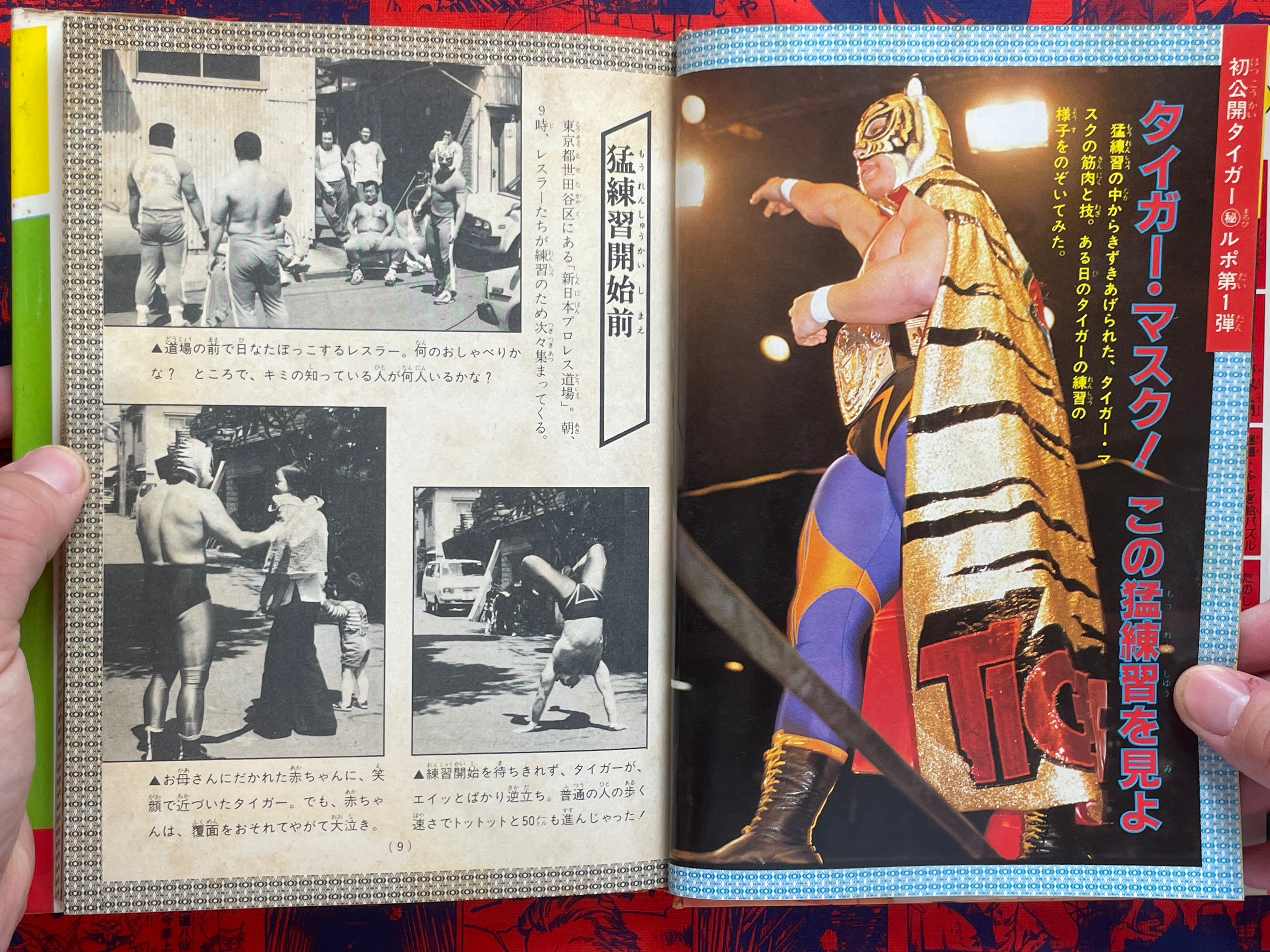 Pro Wrestling Surprise Encyclopedia - Hardcover by Big Wrestler (1982)