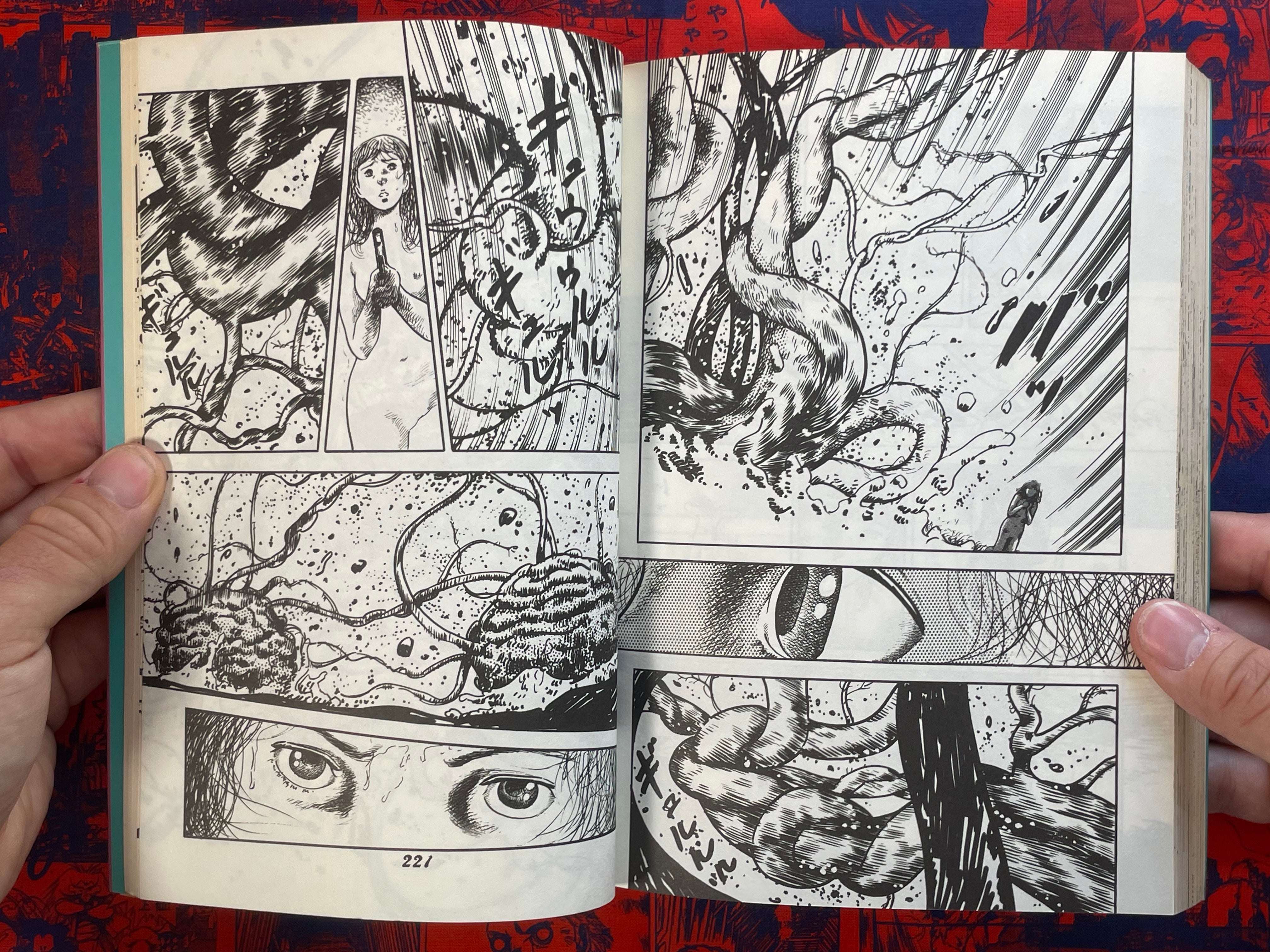 Metamorphosis BY Kosuzu Hiromi (1983)