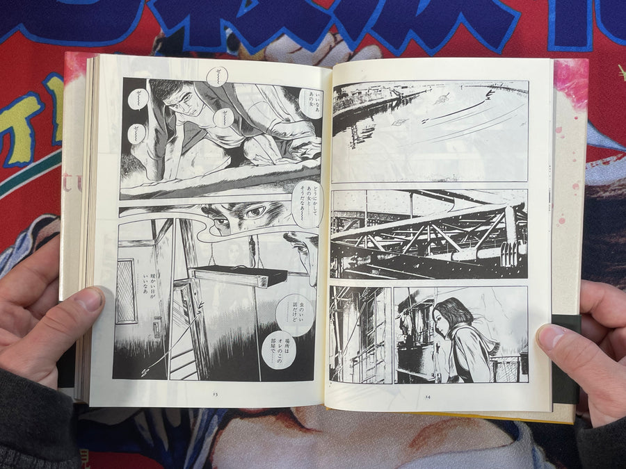 Nami Returns by Takashi Ishii (1993) - Hardcover