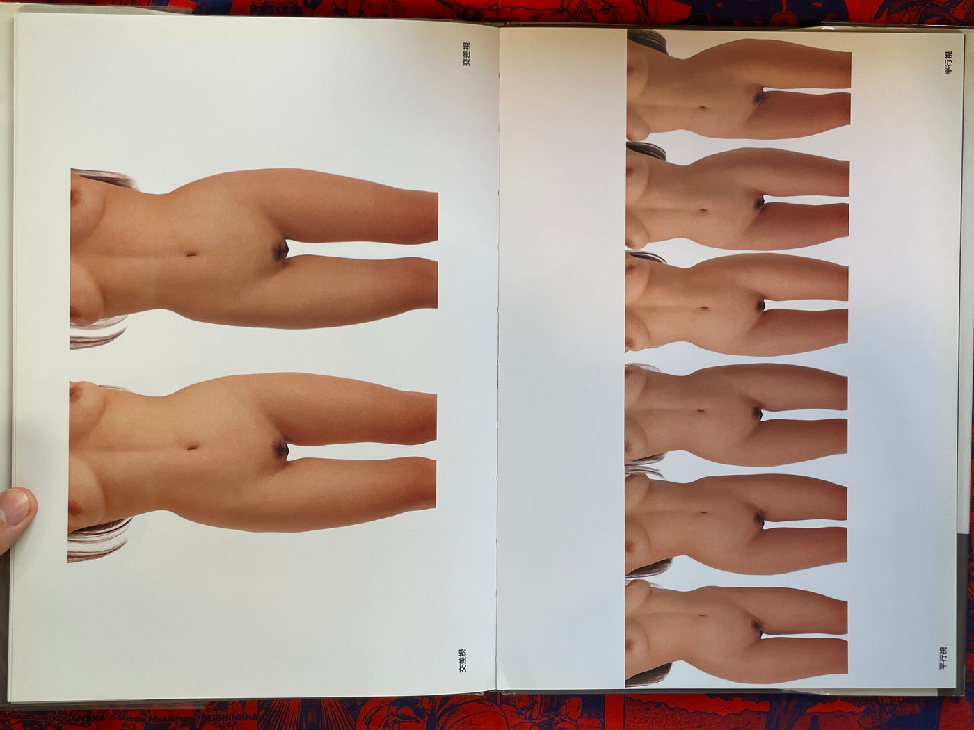 Photographic-Stereogram 3D-Nude by Studio Zen (1993)