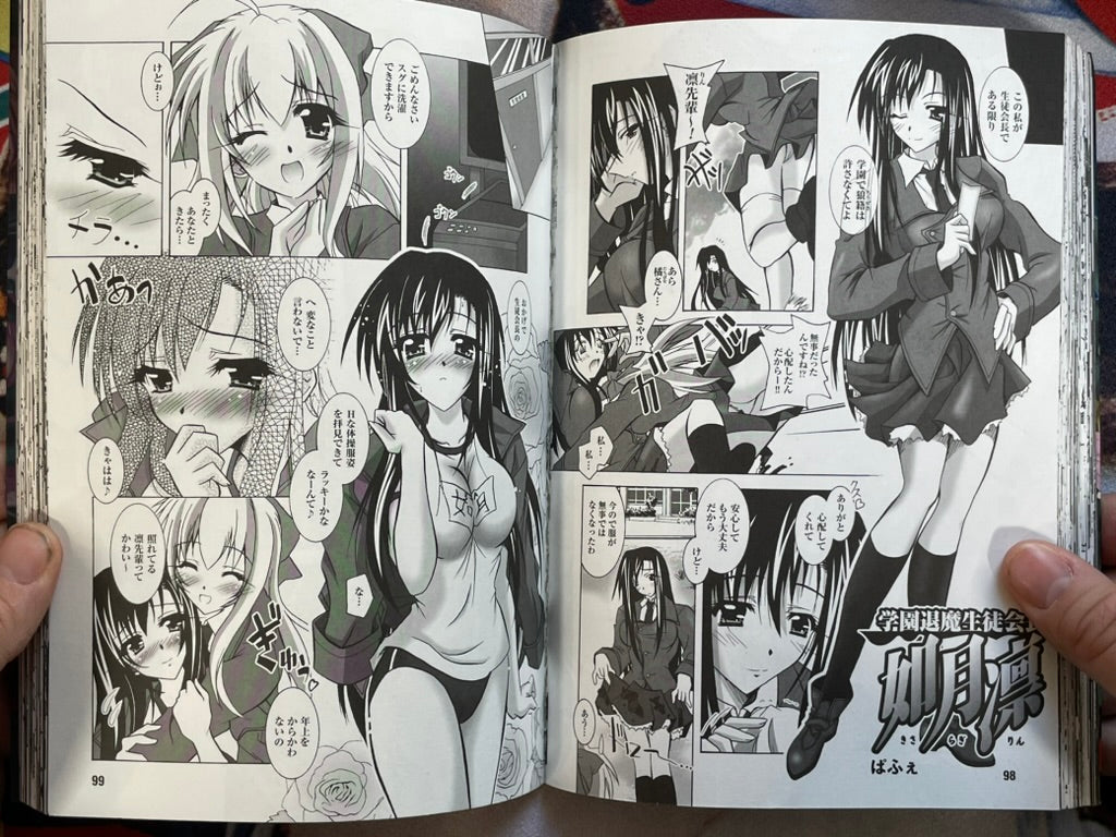 Fighting Princess Offense Vol. 2 by Various Artists (2005)