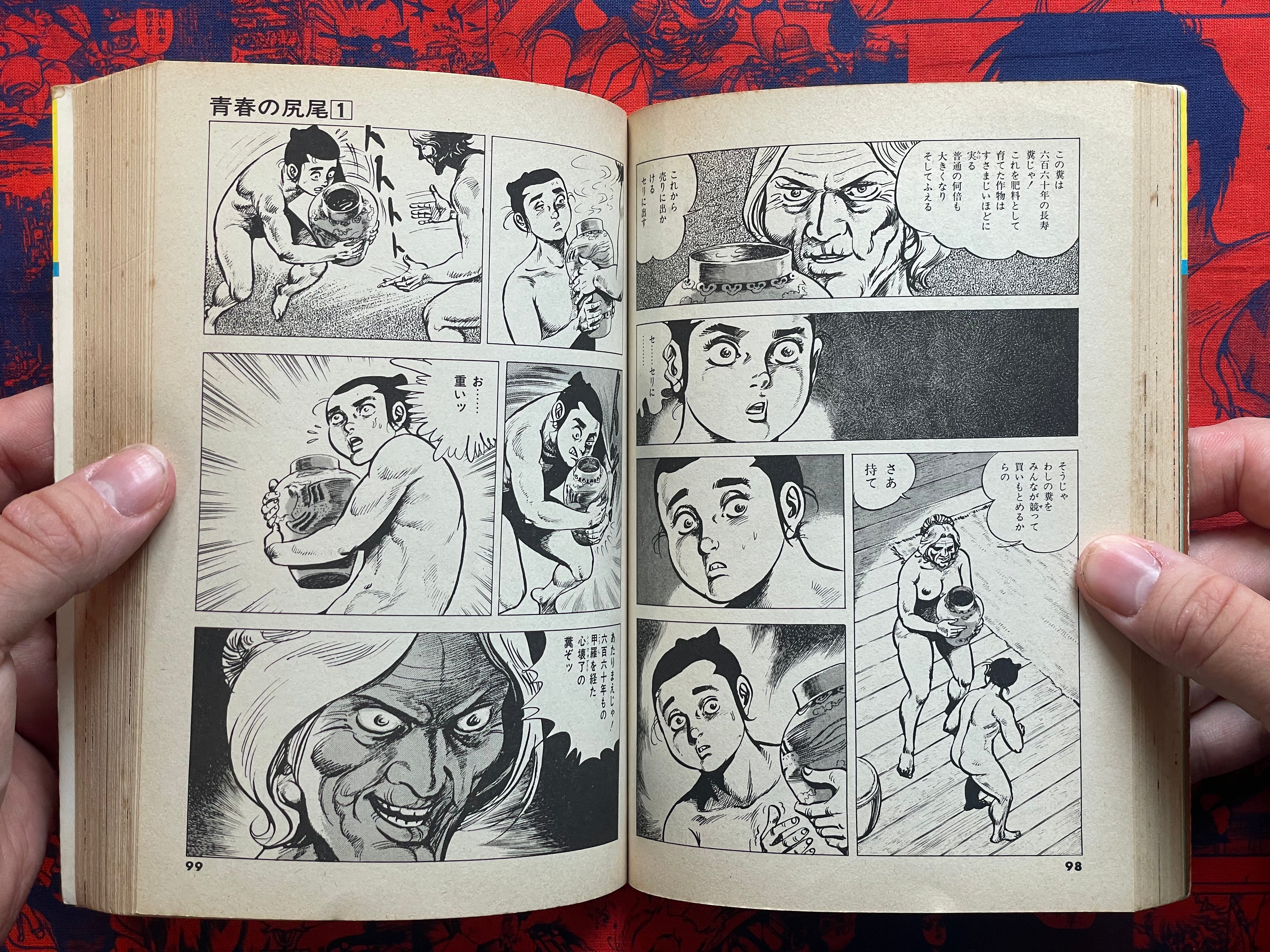 Tail of Youth 1-6 Full Set by Kazuo Koike (1978)-thumbmail-13
