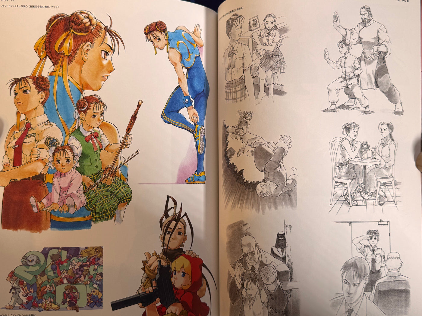 CAPCOM Street Fighters Art Works Supremacy (2009)