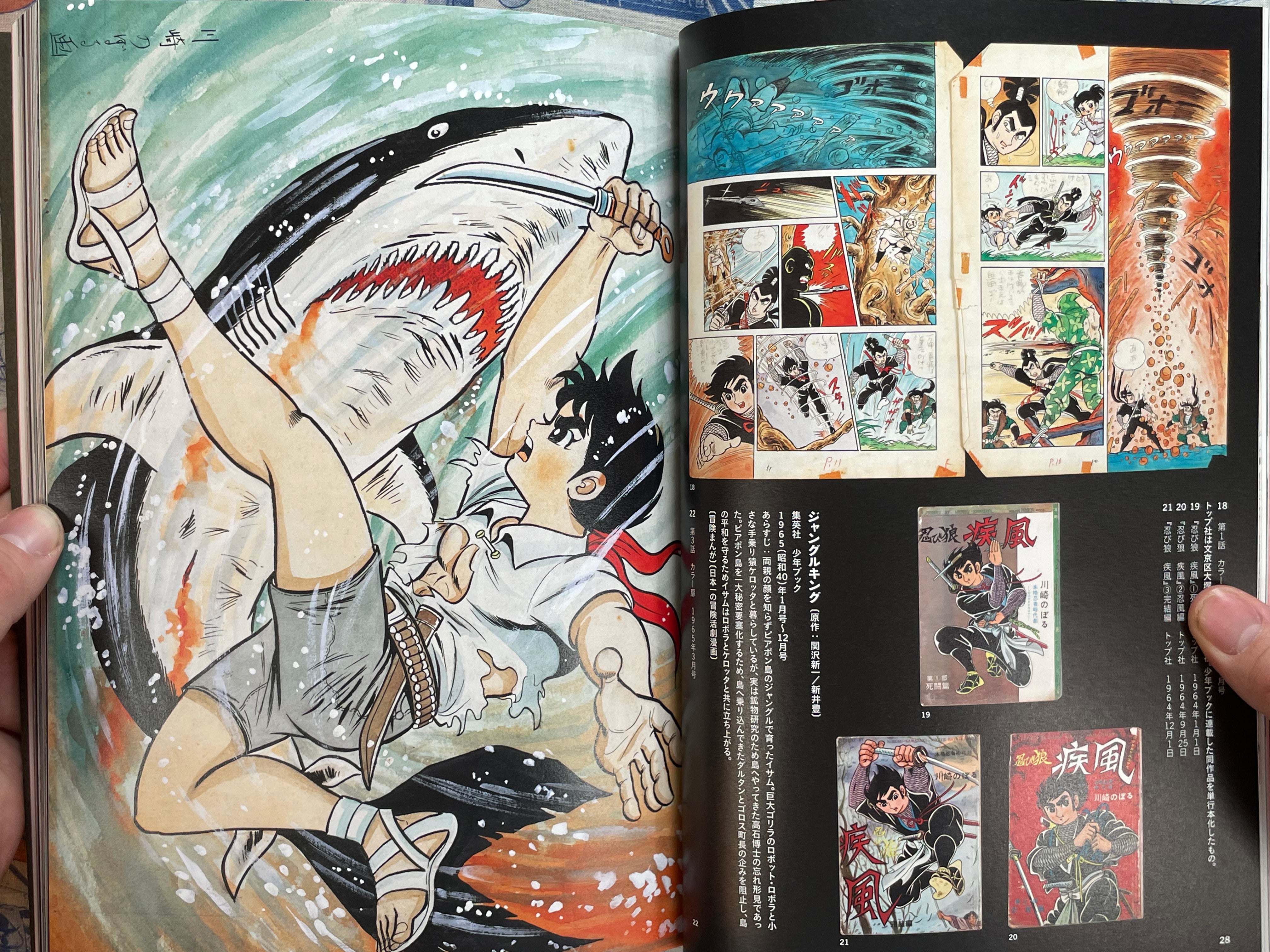 Sweat, Tears & Laughter by Noboru Kawashima (2015)