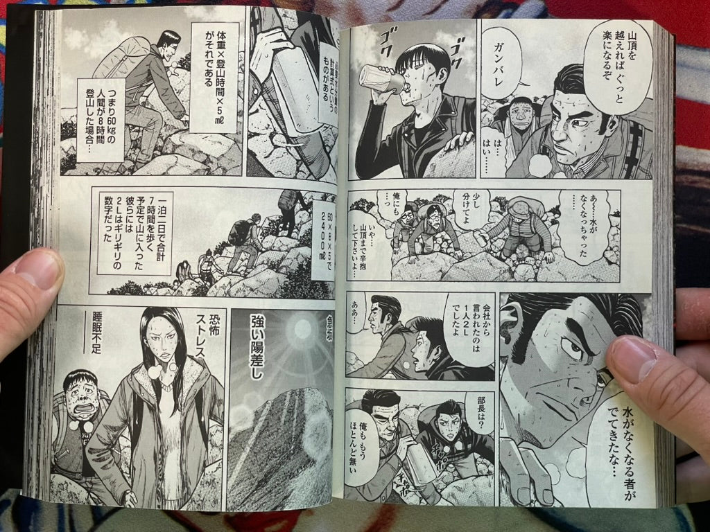 Monkey Peak by Koji Shinasaka & Akihiro Kumeta Vol. 1-12 + The Rock Vol. 2 (2017)