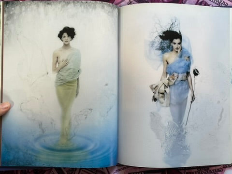 Abyss - Hardcover by Hiroshi Nonami (1993)