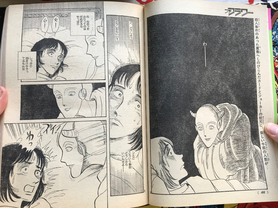 Petit Flower Magazine 5 (1982)