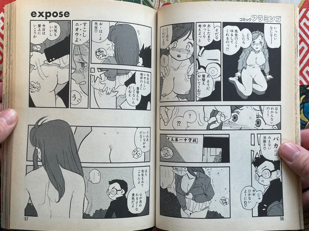 Flamingo Magazine (2/1995)