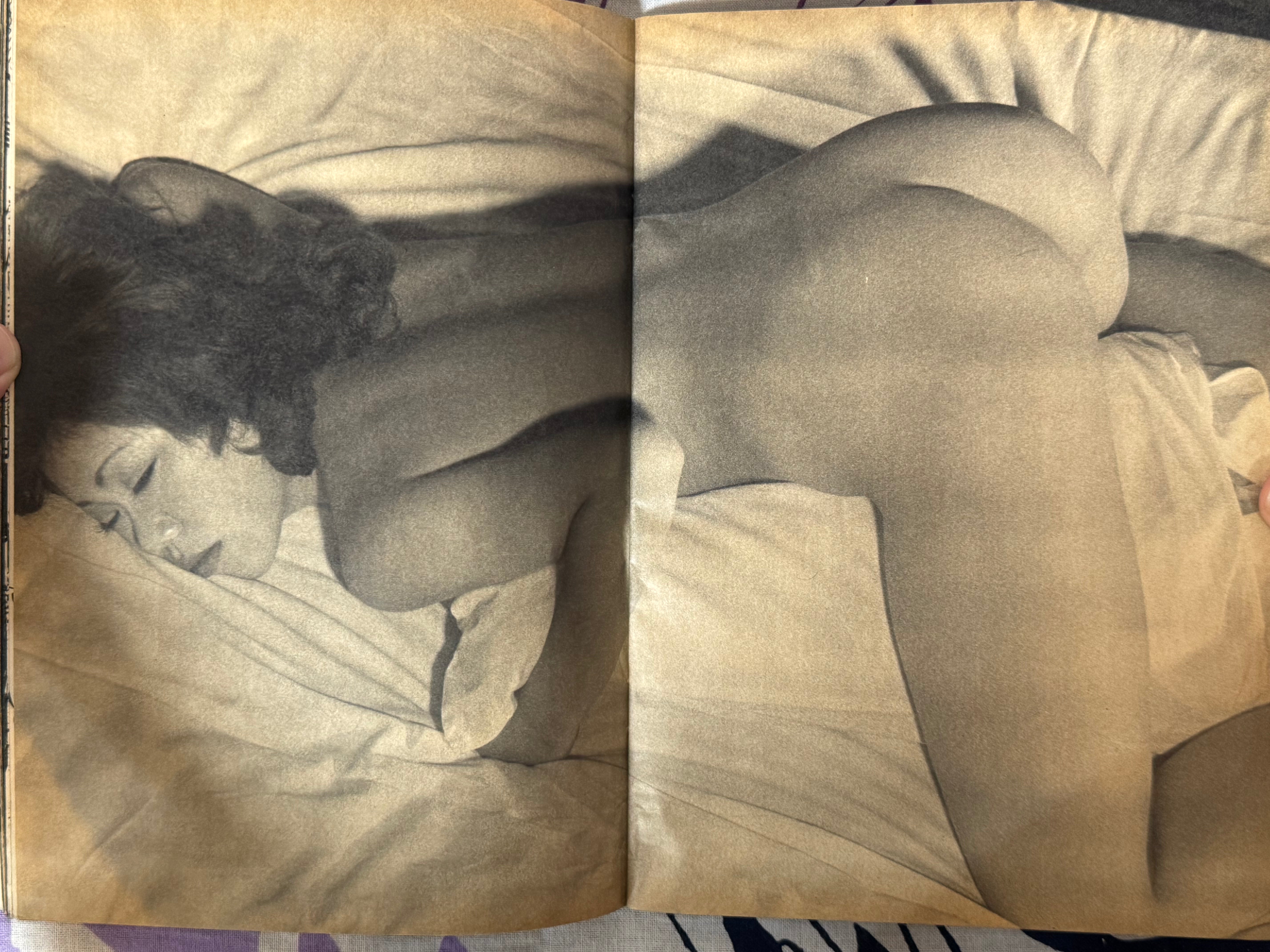 Pink Plaza Magazine (4/1976)