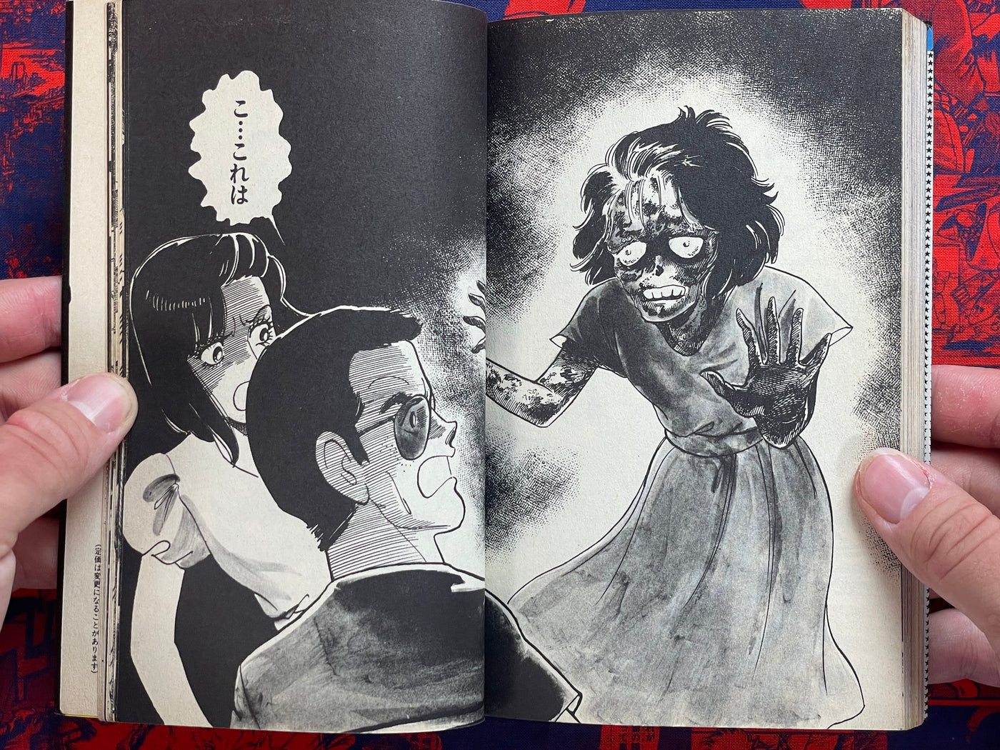 Gemini Cursed Birthday by Hironaga Maki (1985)