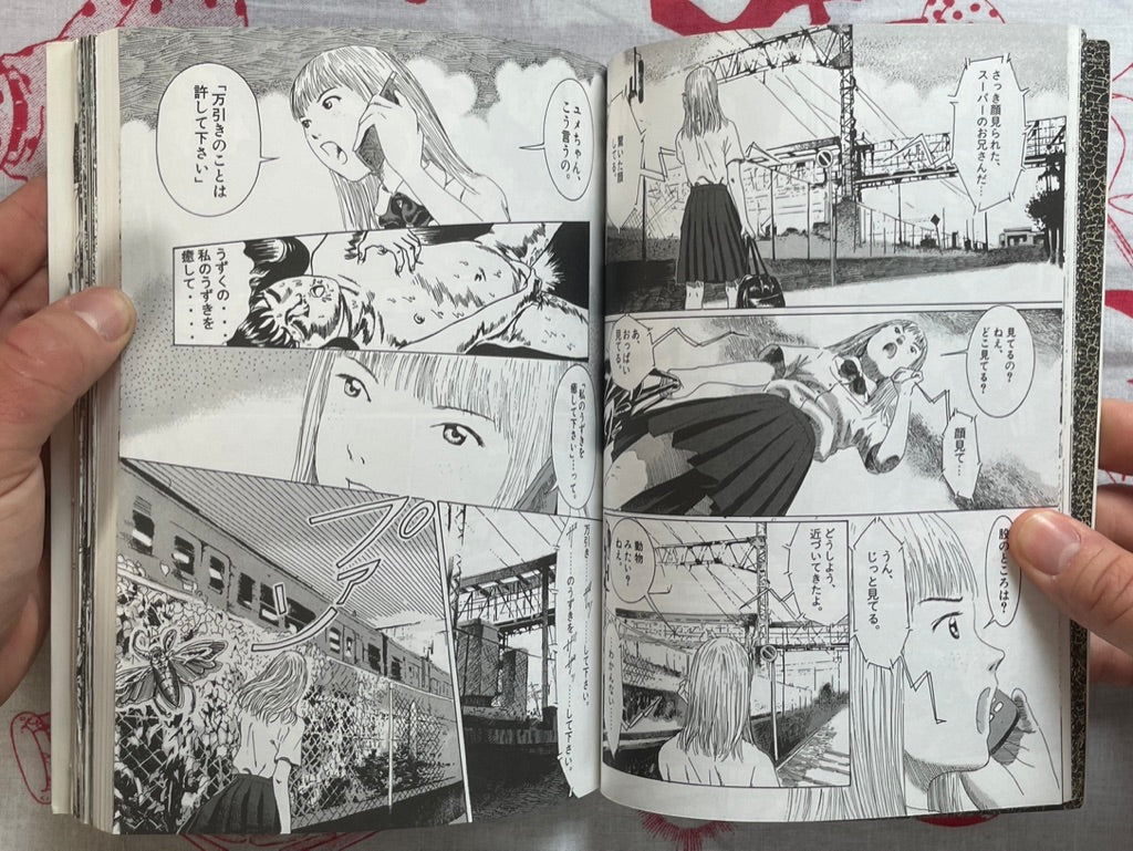 Garden by Usamaru Furuya (2000)