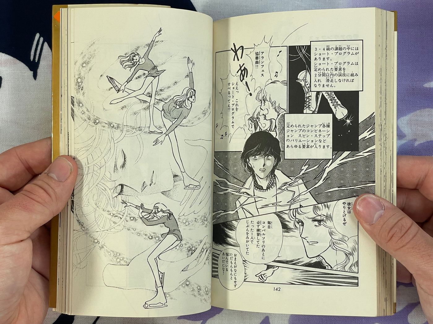 Love of Aranjuez by Satoru Makimura (1979)