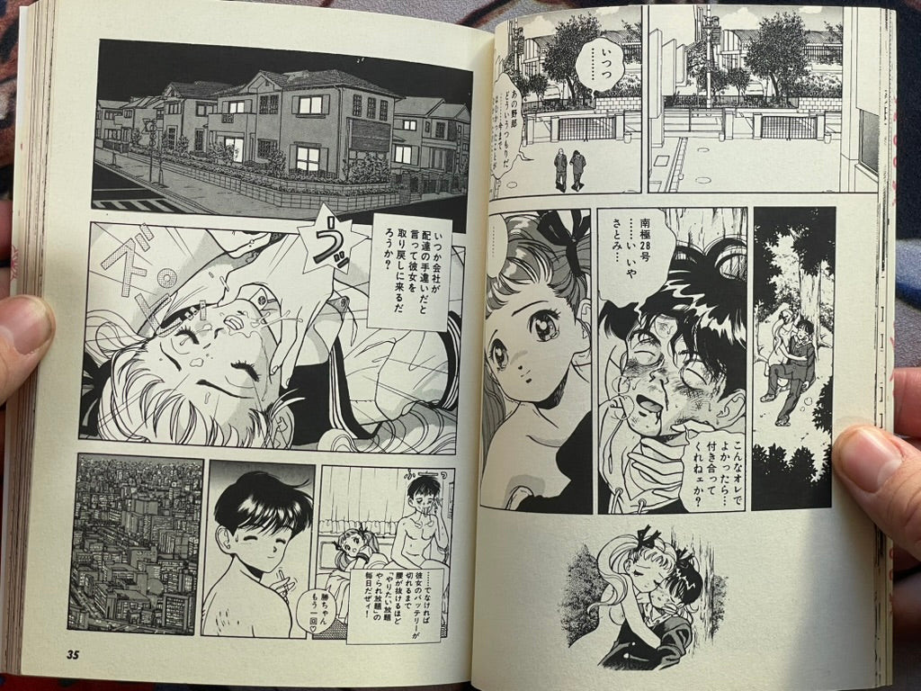 Antartica No.28 by U-jin (1994)