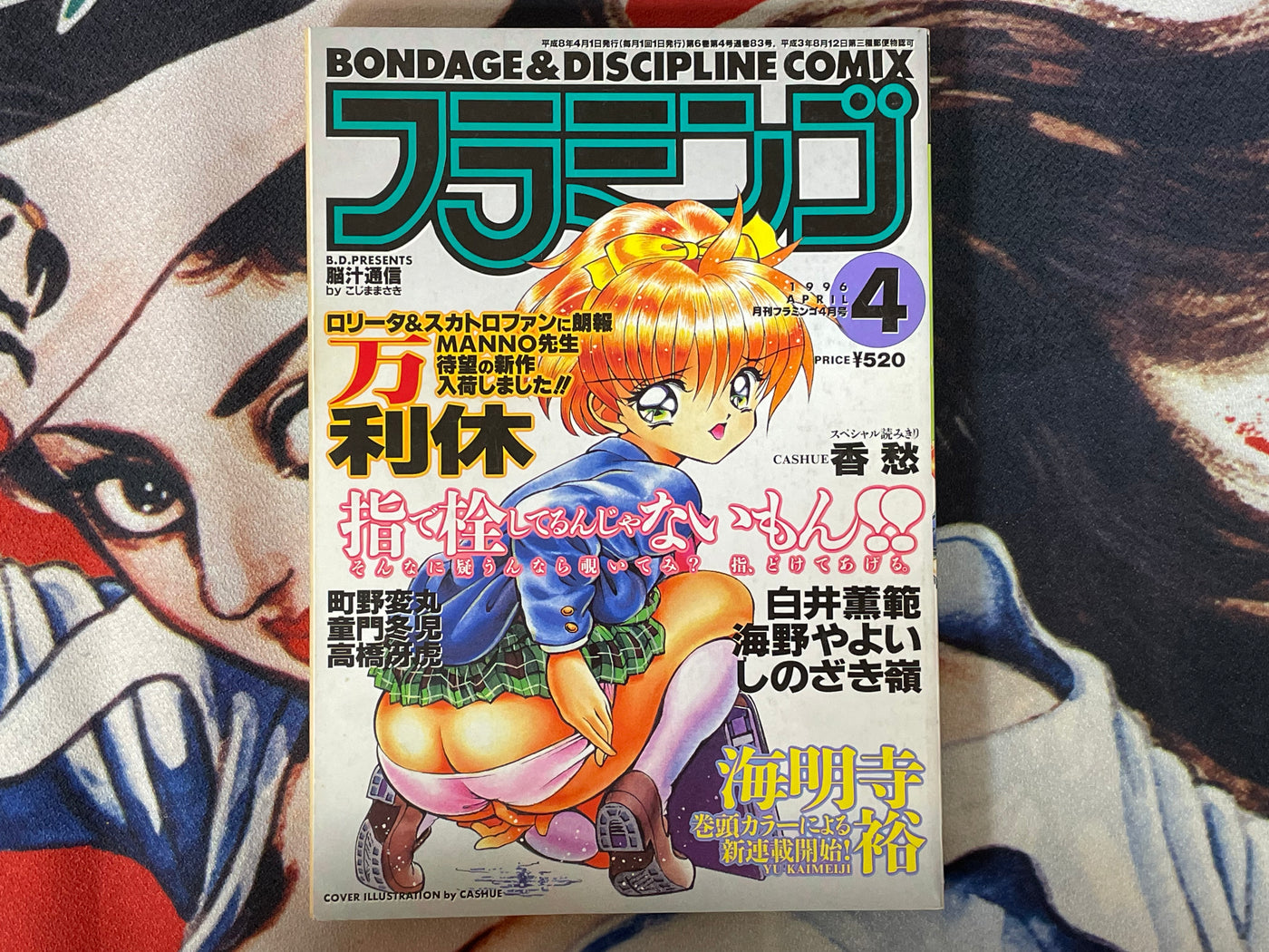 Flamingo: Bondage & Discipline Comix (1996/4)