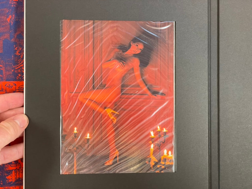 Monthly Neo: Maya Koizumi w/ Hardcover-bound Photographs (2011)