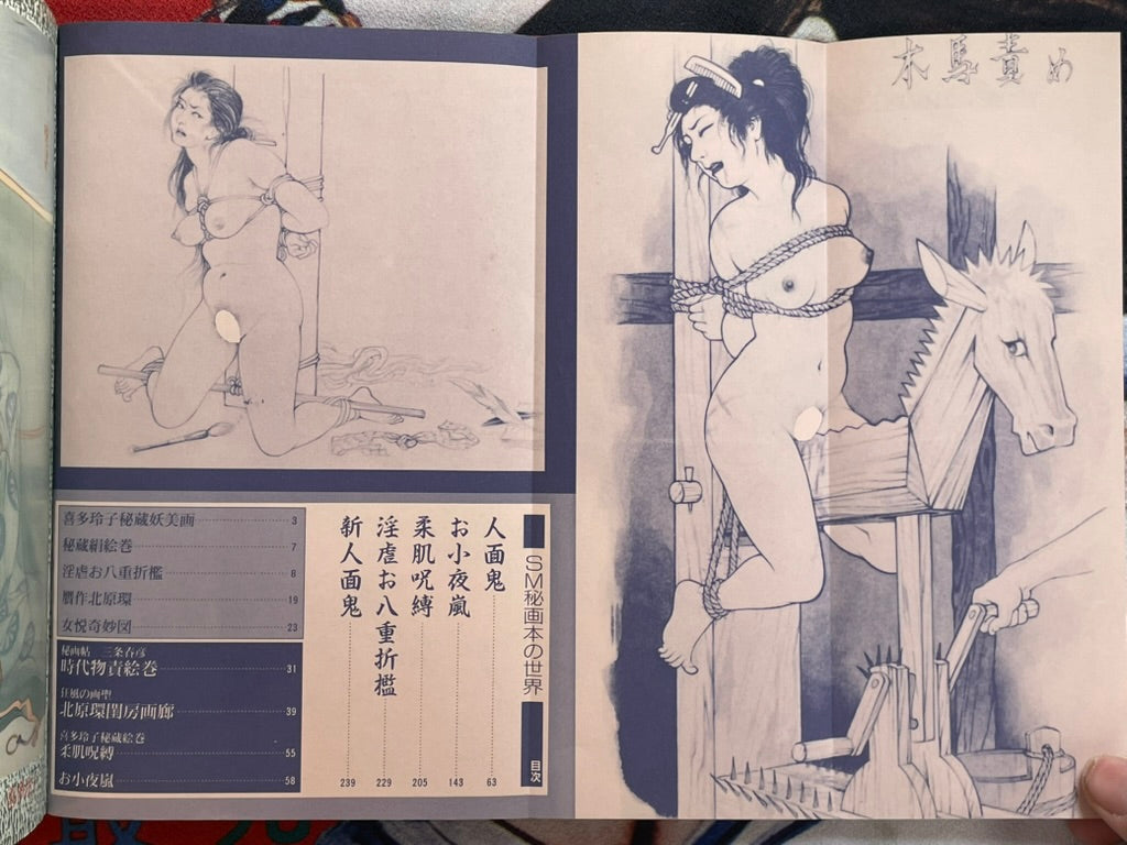 SM Higa Book World: SM Secret Novel Extra Edition (1984)