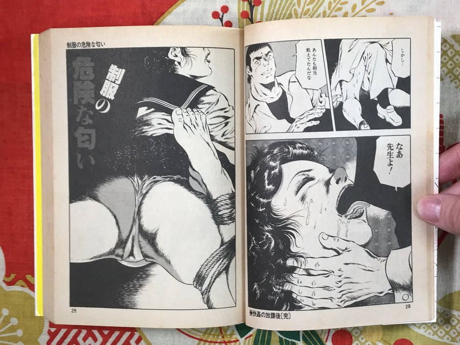 After Pleasure School (1983) by Hiroki Hoshimoto