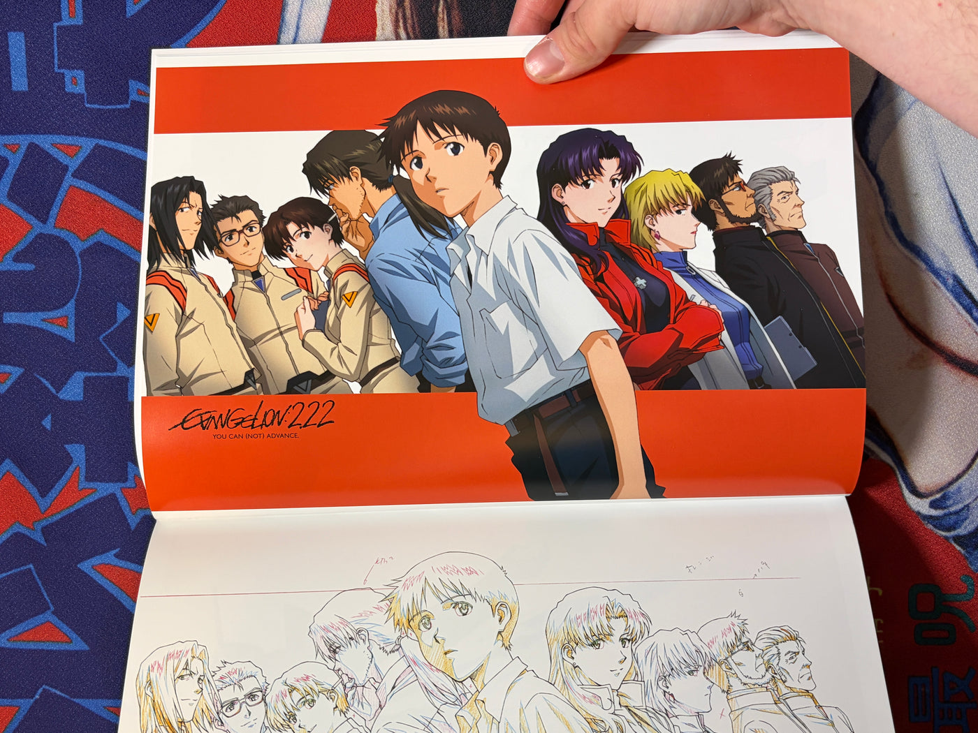 Groundwork of Evangelion 2.0: You Can (Not) Advance #02 (2011)