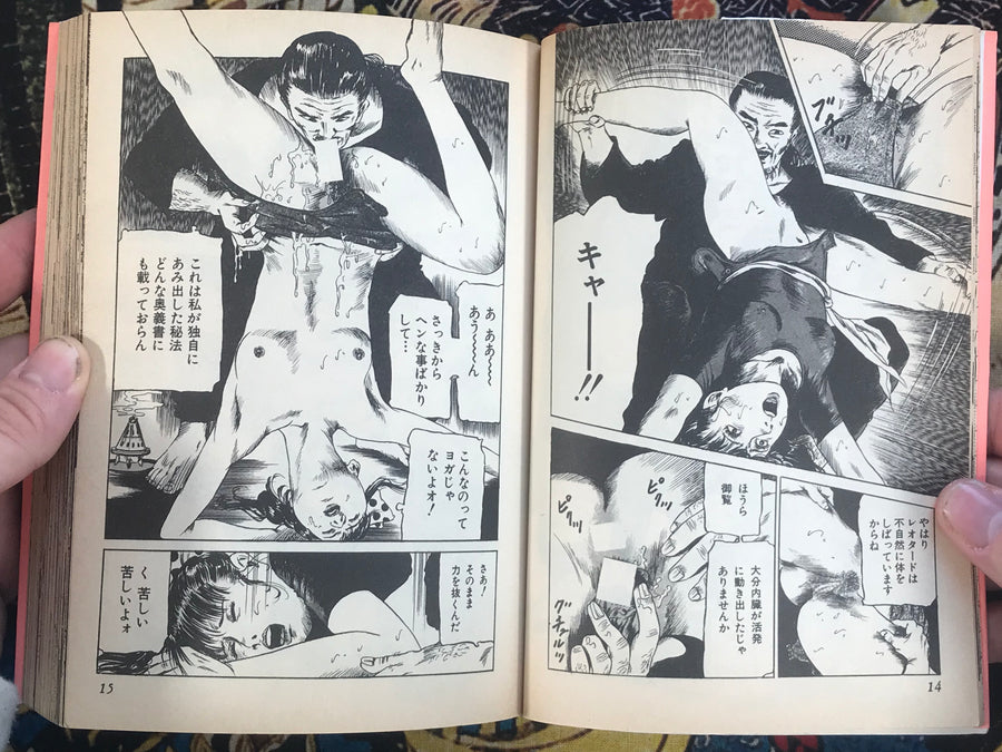 Ripe Beautiful Girl by Susumu Tsuchiya (1988)
