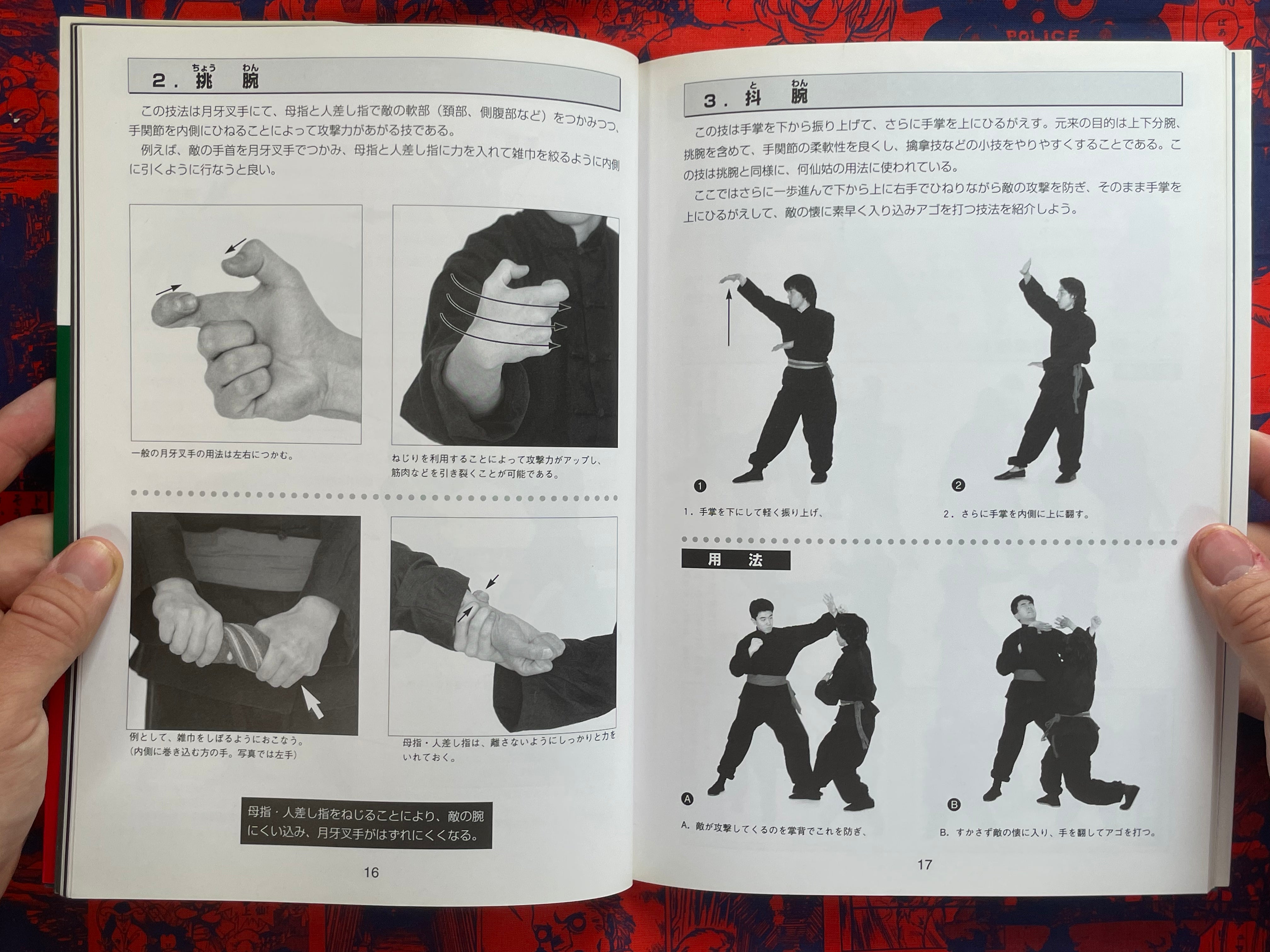 Drunken Fist Super Technique by Hiun Ryu (1999)
