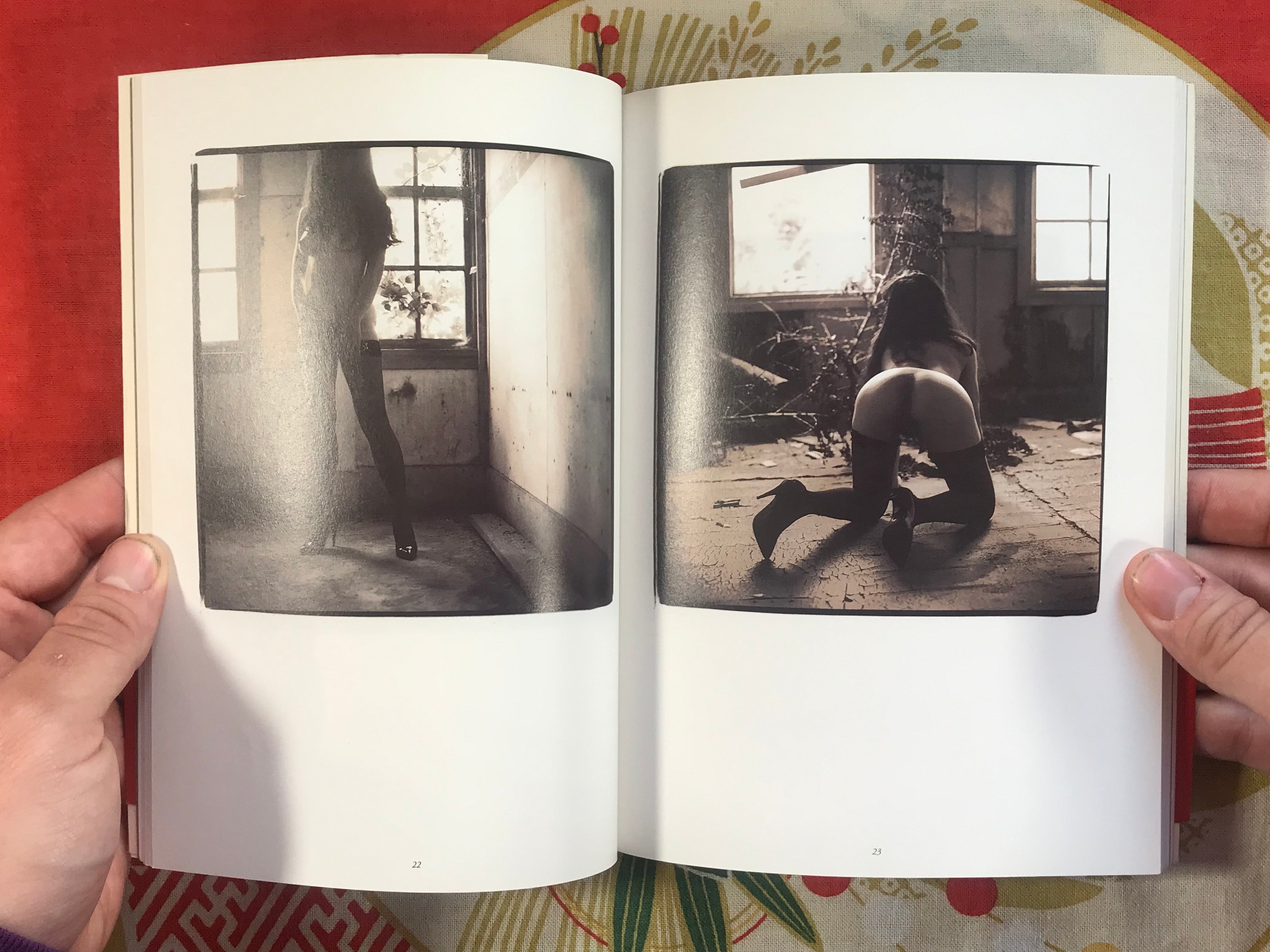 10 Years La Reminiscene De Dix Ans Photo Book by Masaaki Toyoura (1995)