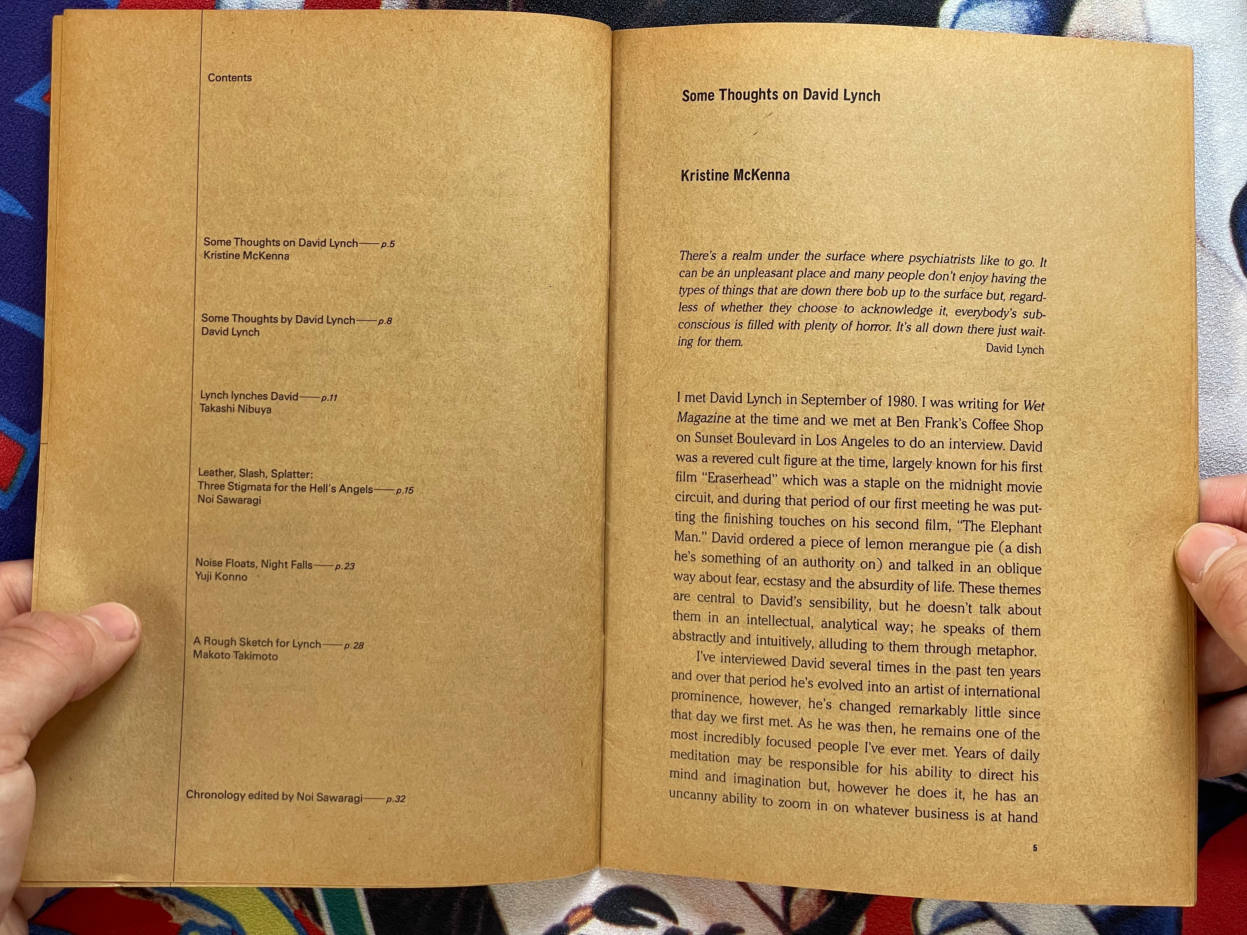 David Lynch Paintings Drawings w/ English Translation Supplemental by David Lynch & Touko Museum of Contemporary Art (1991)-thumbmail-21