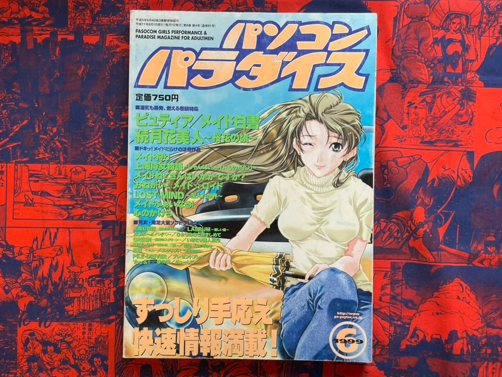 Pasocom Paradise (6/1999)