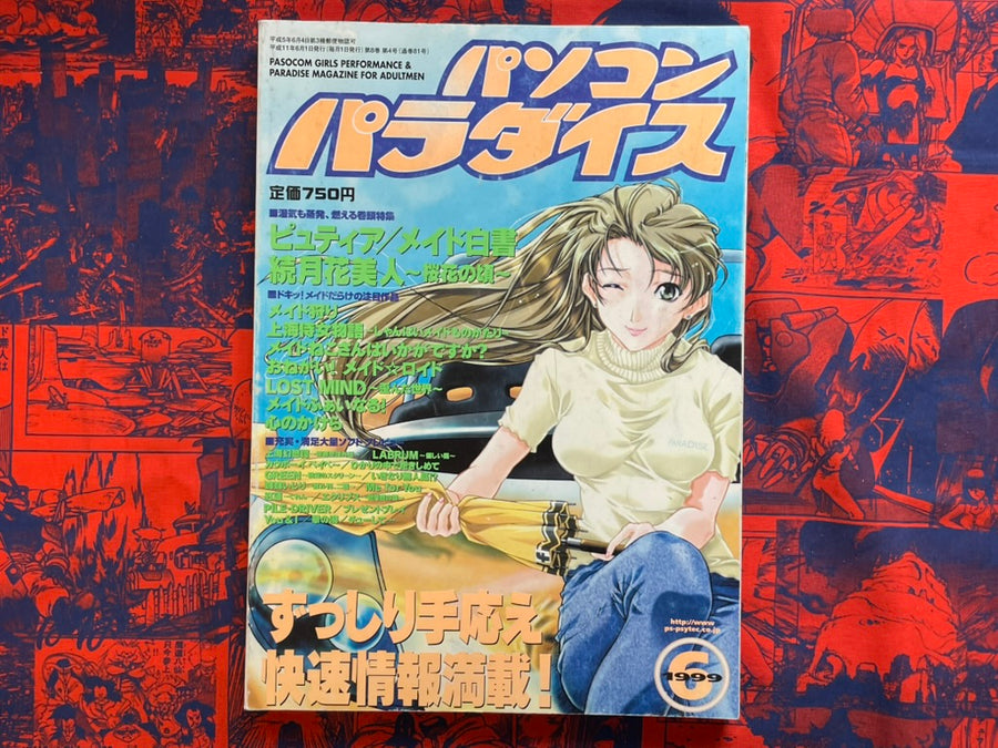 Pasocom Paradise (6/1999)