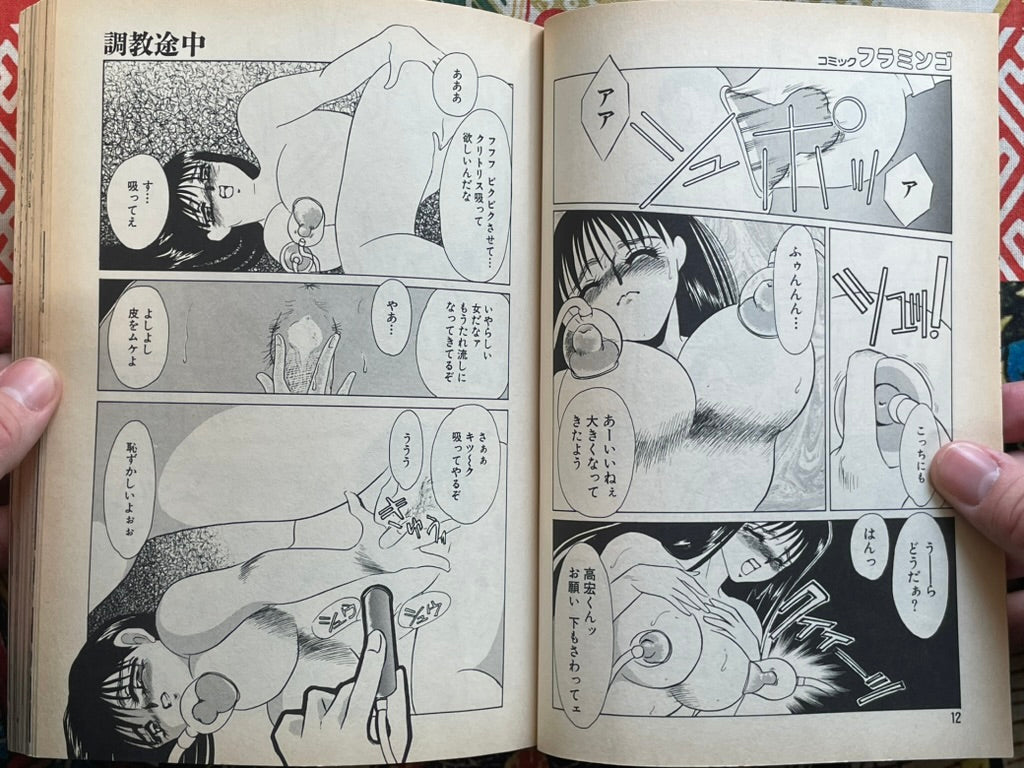 Flamingo Magazine (2/1995)