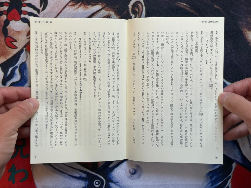 Morphine Doesn't Work in May - Slipcover by Araki Nobuyoshi (2004)