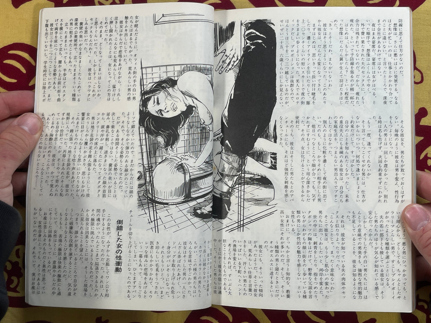 SM Play Magazine (2/1973)