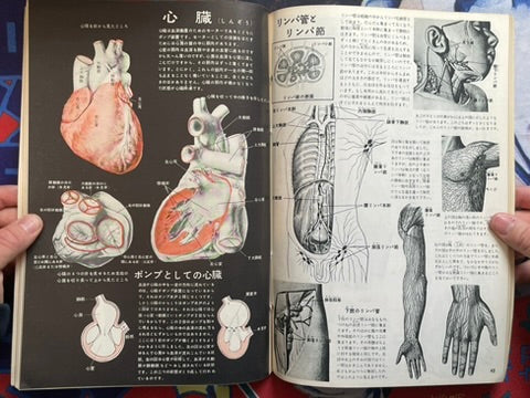 The Science Graph Vol. 7: Human Body Edition (1962)