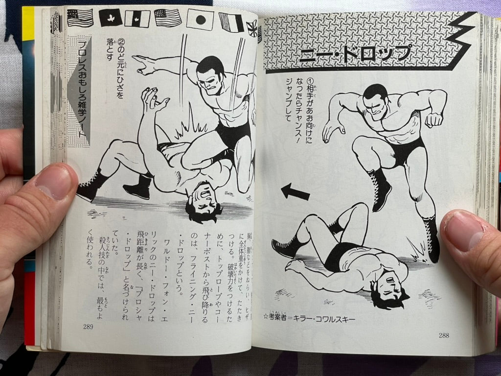 Pro Wrestling Everything All Together - Bunko Edition by Inoue Yoshihiro (1984)