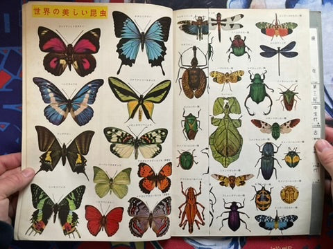 The Science Graph Vol. 6: Insect Special Edition (1962)