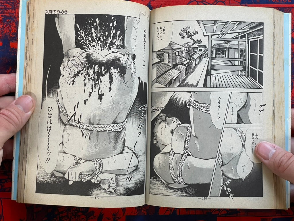 Rape Hunter (1984) by Takeshi Oshima