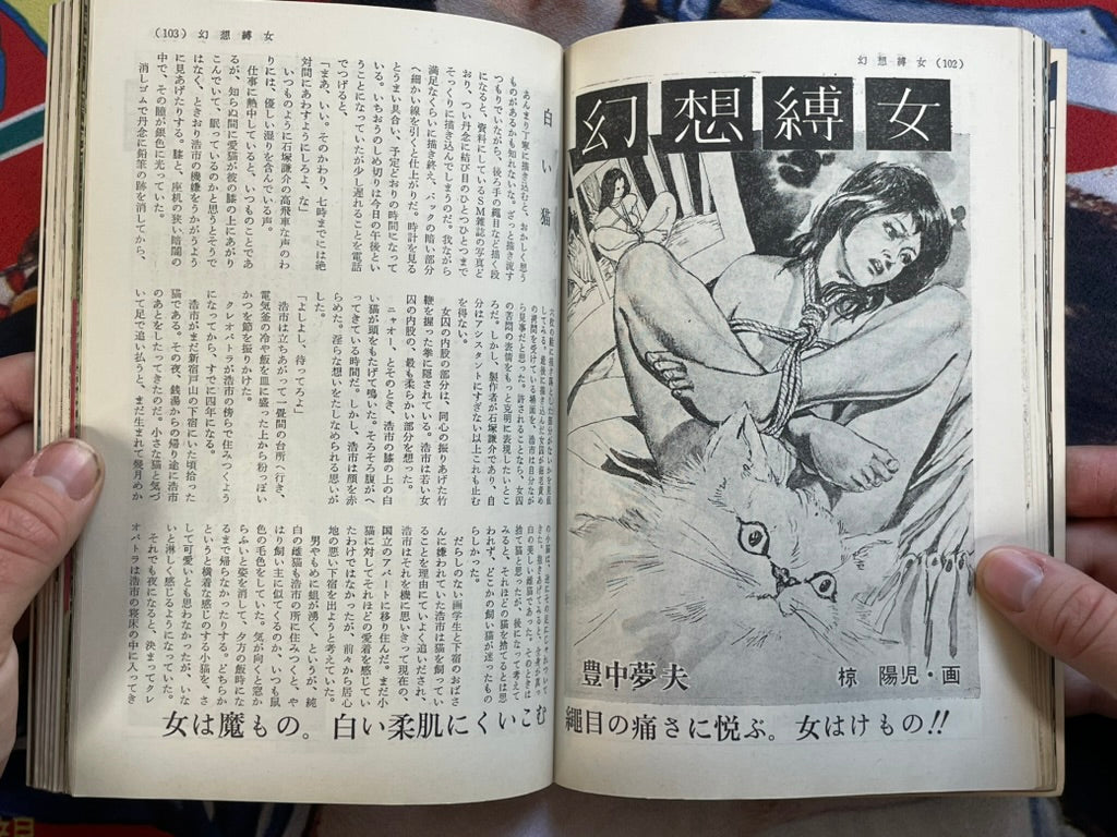 SM Collector (1974/7)