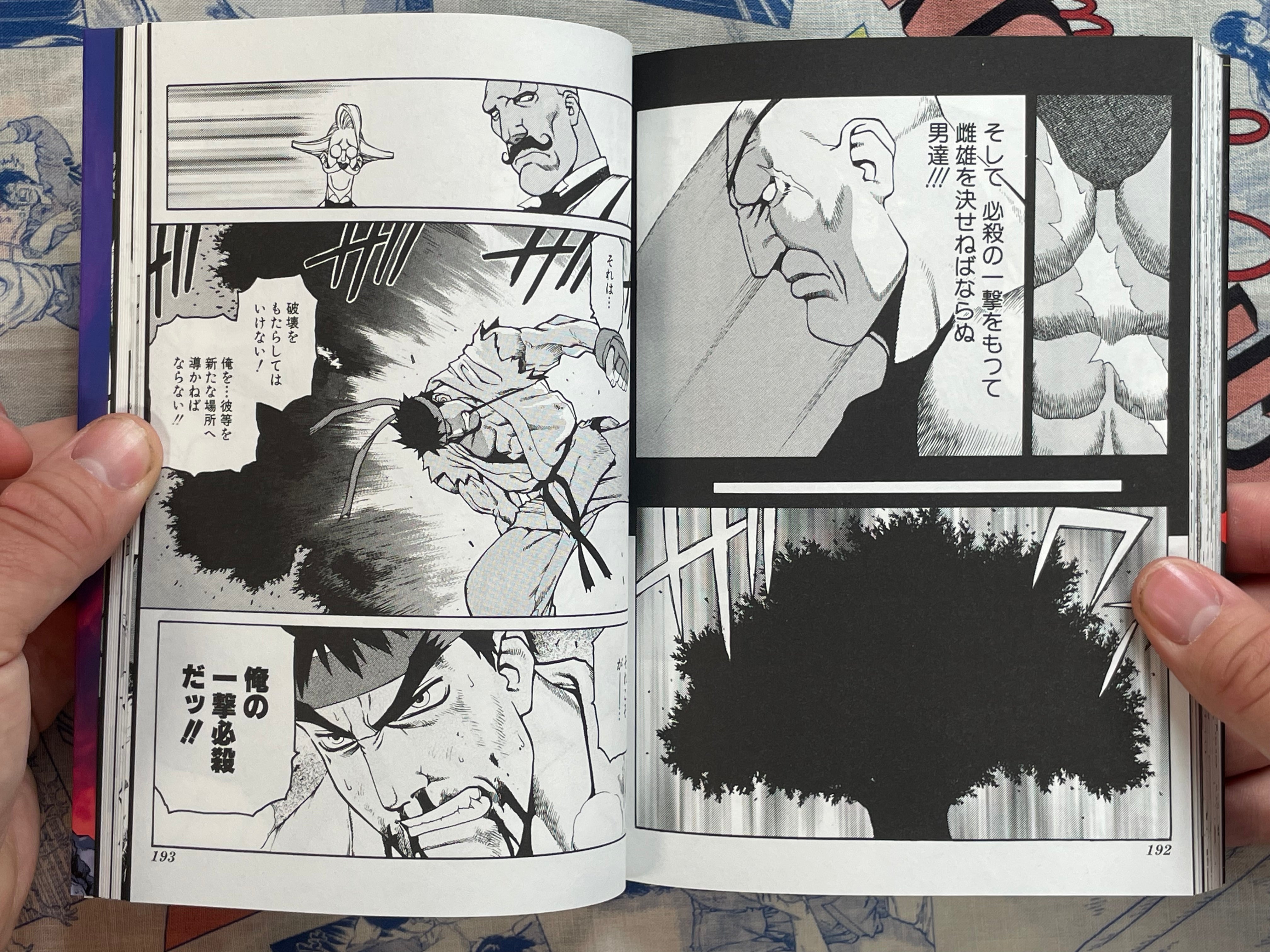 Street Fighter III Ryu Final by Masahiko Nakahira (1999)-thumbmail-15